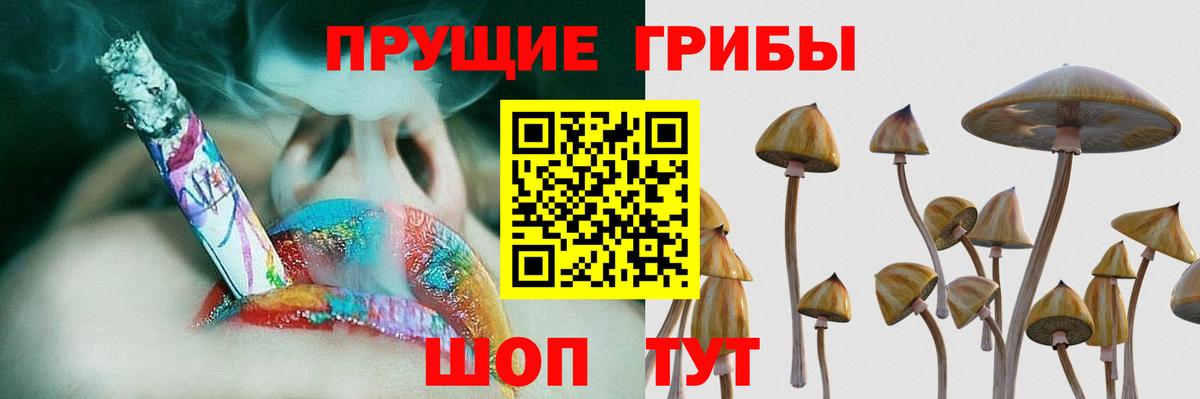 Галлюциногенные грибы Psilocybe  Вход с VPN  Биробиджан 