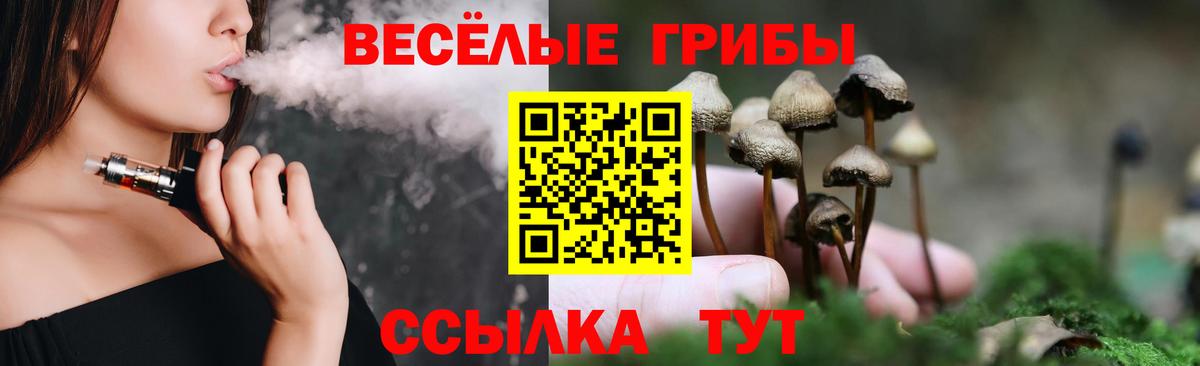 Галлюциногенные грибы мицелий Биробиджан