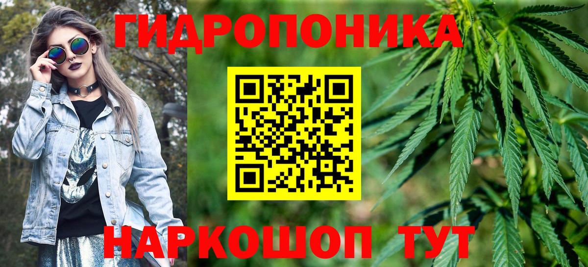 Бошки Шишки MAZAR Биробиджан